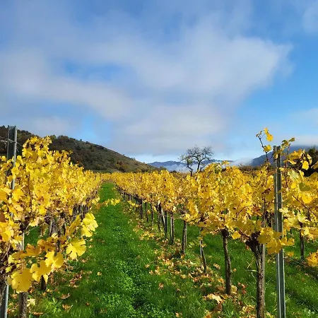 Johanna * Spitz an der Donau